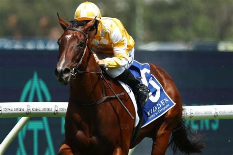 2024 Blue Diamond Stakes Final Field & Barrier Draw Confirmed.
